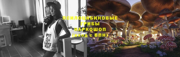 apvp Алексин