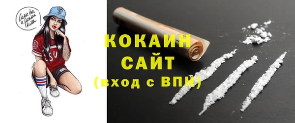 apvp Алексин
