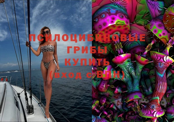 apvp Алексин