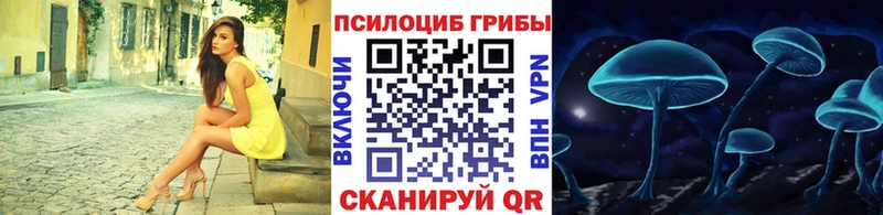 где продают   Мытищи  Галлюциногенные грибы Magic Shrooms 